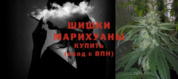 гидра Верхний Тагил
