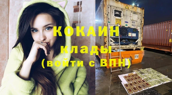 гидра Верхний Тагил
