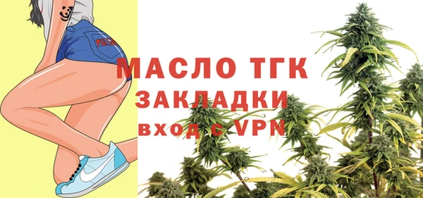 гидра Верхний Тагил