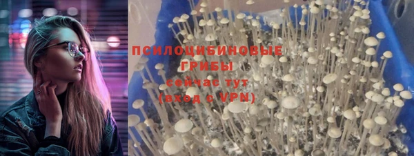 гидра Верхний Тагил