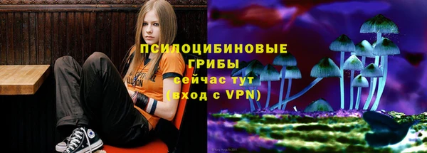 гидра Верхний Тагил