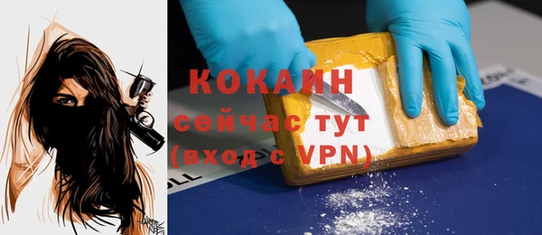 гидра Верхний Тагил