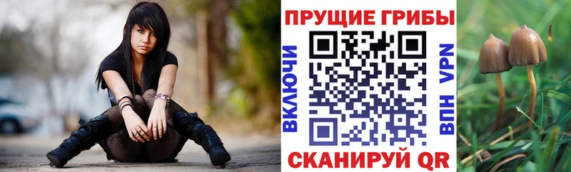 Псилоцибиновые грибы GOLDEN TEACHER  Купить где  Тобольск 